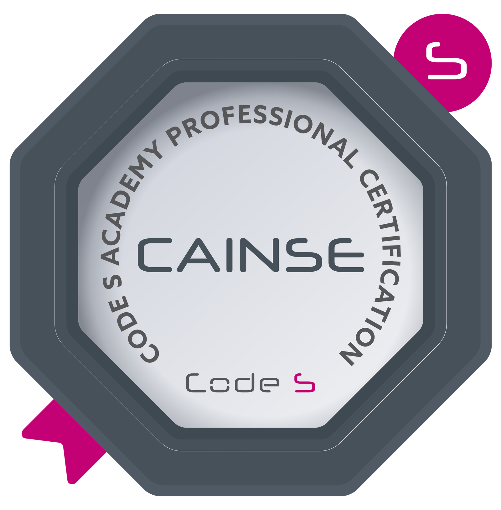 Certified AI Neuromorphic Systems Engineer (CAINSE)